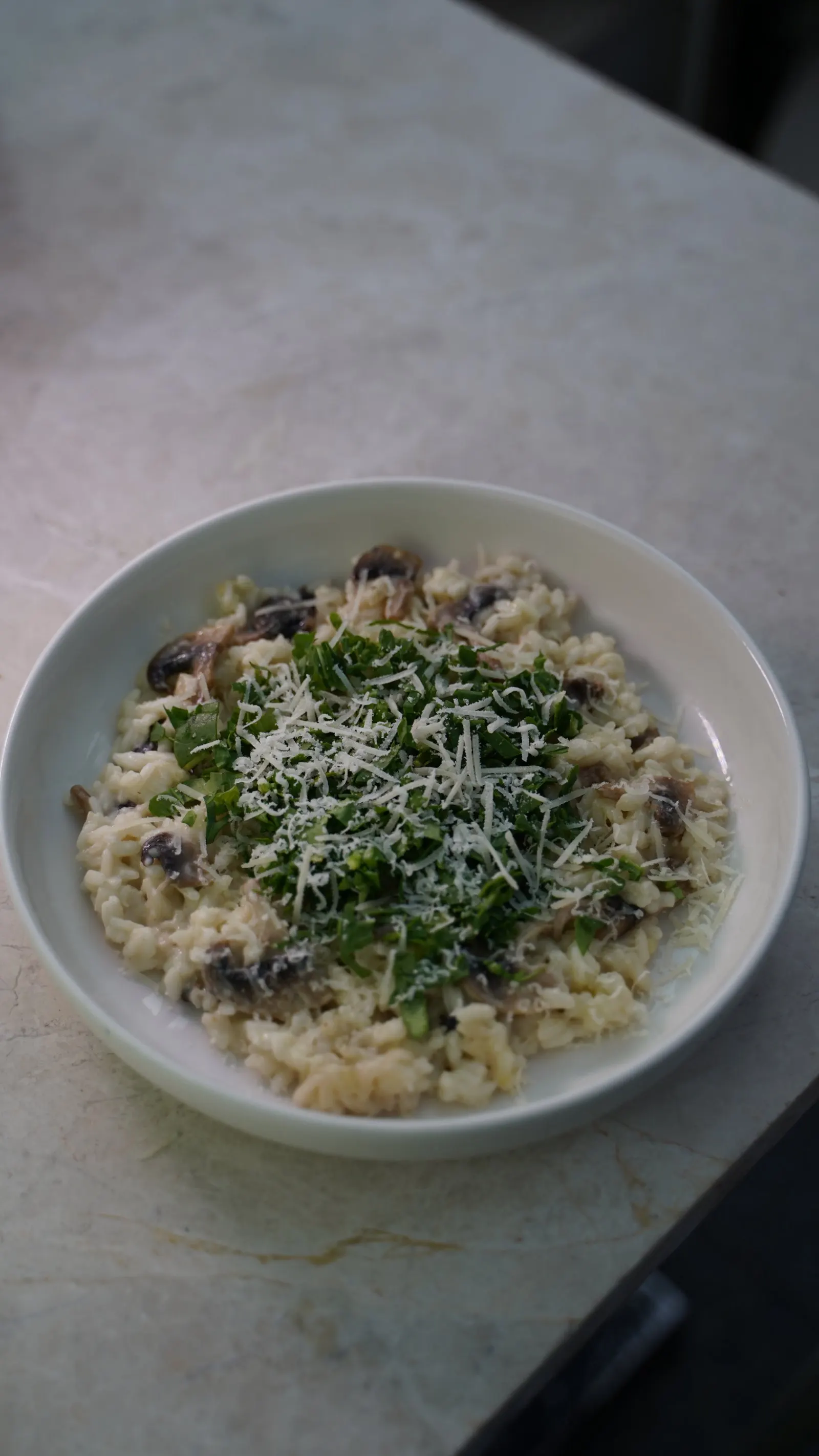 Risotti Bulo Al Funghi
